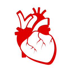 CARDIOLOGIA CLINICA/ CARDIOLOGISTA INTERVENCIONISTA / CIRURGIA CARDIOVASCULAR 